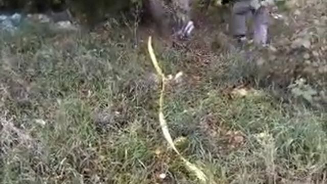 Лебедка T-Max ATW-6000 Performance на Subaru Forester SH