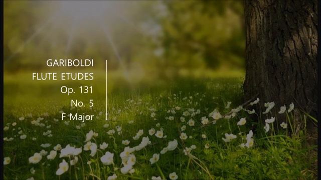 Gariboldi flute etudes op 131 no. 5 F major 가리볼디 플루트 에튀드 op 131 5번 смотреть онлайн