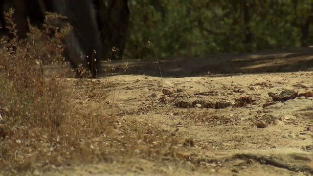 【Full HD】The new Husqvarna TR 650 Terra. Offroad Scenes Jerez, Spain. смотреть онлайн