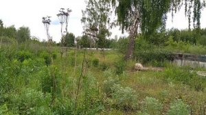 На разрушенном бомбоубежище много бетонных плит залаз на #заброшки