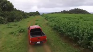 Toyota Tacoma 2017 | Offroad | Обзор | Тойота Такома