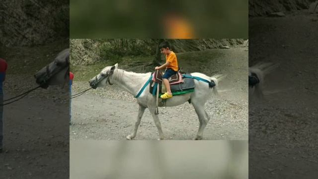 Интересные моменты во время прогулки на лошади у реки / İlisuda çay qırağında at sürərkən maraqlı a смотреть онлайн