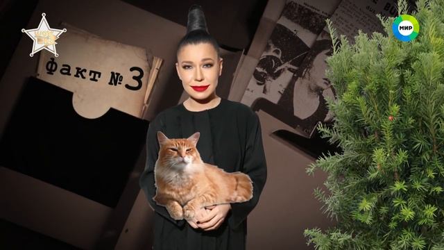 5 фактов о певице елка смотреть онлайн