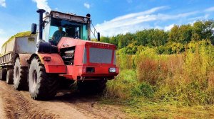 Заготовка силоса на полях Новосибирской области! Моменты заготовки.