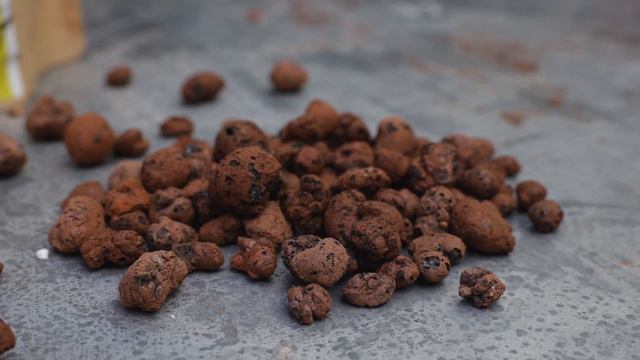 Houseplant soil mix and substrates: everything you need to know | PLNTSdoctor S02E11 смотреть онлайн