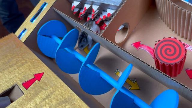 Amazing Hamster Maze Arcade Pinball Game Adventure смотреть онлайн