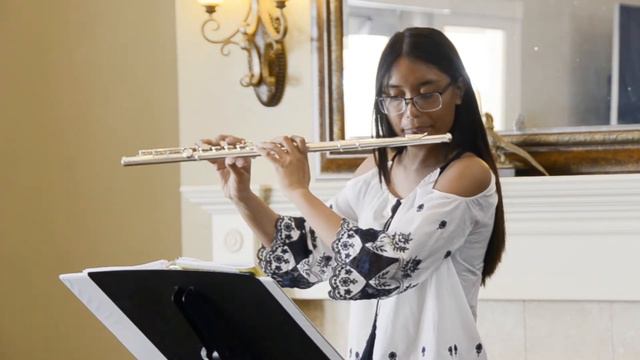 Sonata in F Major - Vivace (Telemann) смотреть онлайн