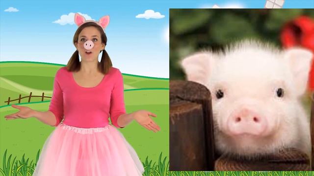 Звероподворье-адаптация