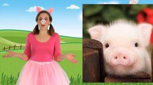 У старого МакДональда была ферма | Old MacDonald