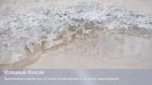 3D фотообои "Изящный бонсай" смотреть онлайн
