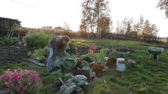 Конец сентября. Огородные дела. Где работаю и кем работала. смотреть онлайн