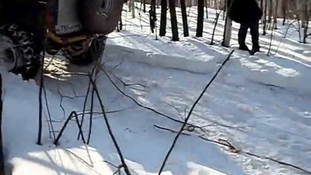 7 братьев ниверы смотреть онлайн