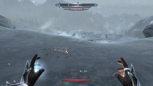 Defeating The Ebony Warrior using magic traps(runes)