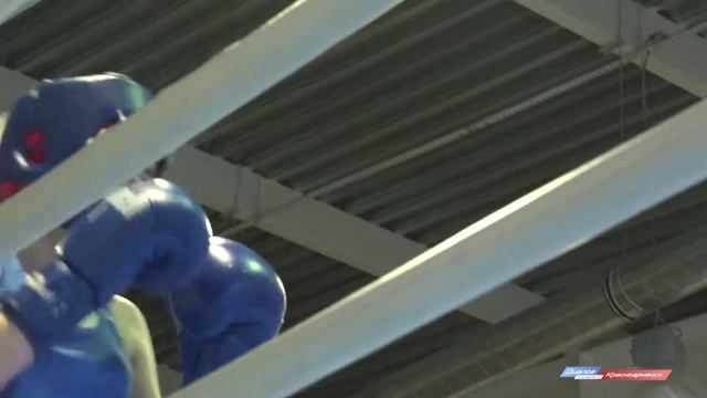 Турнир по боксу среди девушек в Красноармейске смотреть онлайн