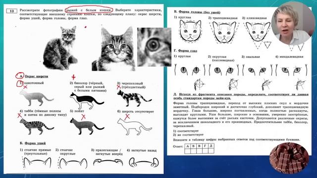 ОГЭ 2023 биология Разбор первого варианта (Рохлов) смотреть онлайн
