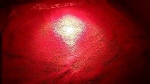 Инкубация перепелов, как сохранить перепелят. Пособие для новичков.