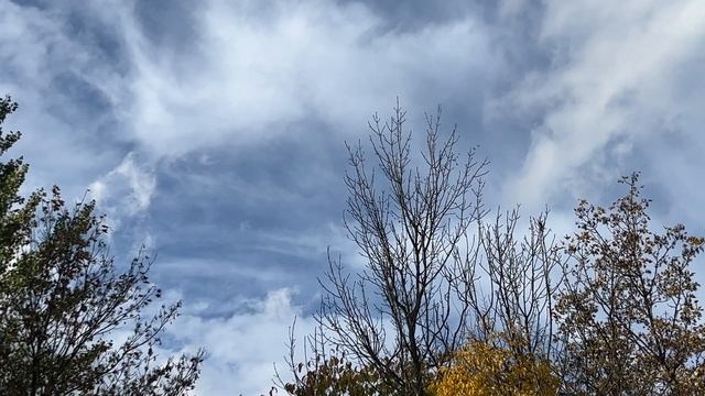 Летят перелетные птицы смотреть онлайн