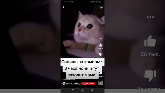 сидишь за компом в 3 часа ночи и тут заходит мама... смотреть онлайн