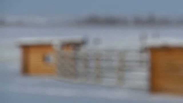 Горловое пение Максима Видишева у Алтан Сэргэ. Юс Хатын. г. Якутск 2014 смотреть онлайн