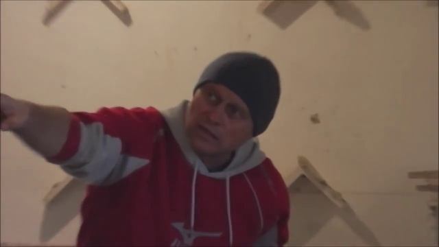 Бакинские голуби в Подмосковье смотреть онлайн