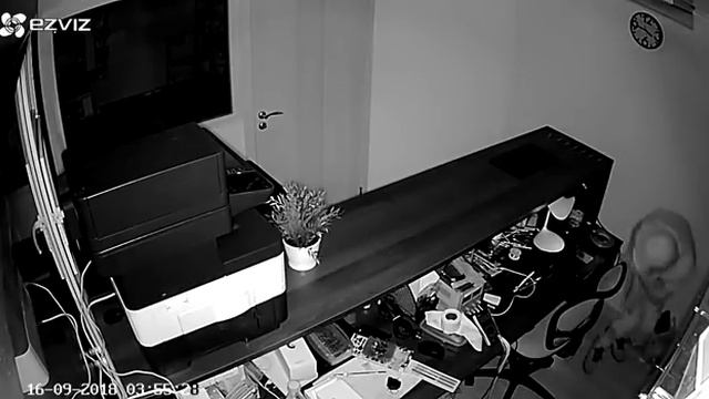 Обворовали сервис по ремонту телефонов смотреть онлайн
