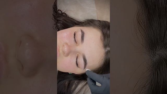 Коррекция бровей и окрашивание краской Bronsun #брови #brows #бровипенза #бровист #beauty