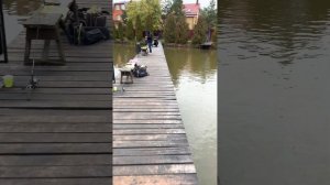 Рыбалка у Иваныча безлимит