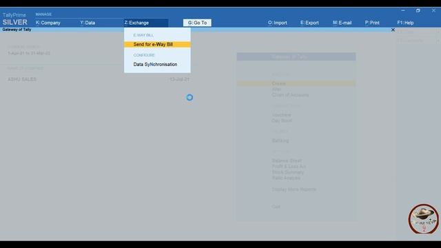 TALLY PRIME 2.0 || EWAY BILL ERROR || NOT GENERATED EWAY BILL FROM TALLY PRIME || FIND ERROR смотреть онлайн