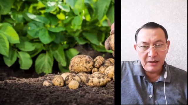 Инвестор и бизнесмен Аблай Муханжаров смотреть онлайн