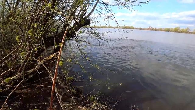 И вот он клюнул! Лезу через глубокий канал на Оку. Рыбалка с берега смотреть онлайн