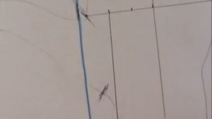 Меховые рукавицы Варежки из натурального меха  Базовая выкройка рукавиц Крой и шитьё для начинающих