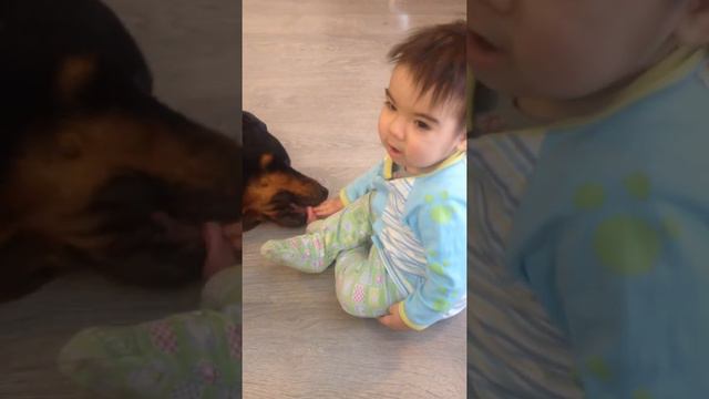 Ротвейлер и ребенок смотреть онлайн