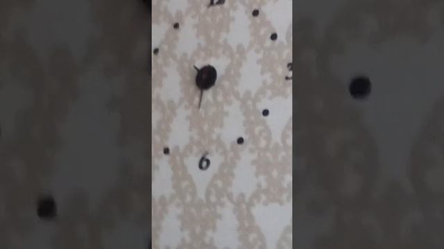 Новогоднее утро!!!!!!!!!! смотреть онлайн