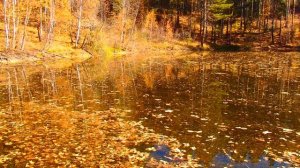 Горные озера Урала ! Талменево озеро ! Удивительное по красоте озеро в золотую осень на Урале !