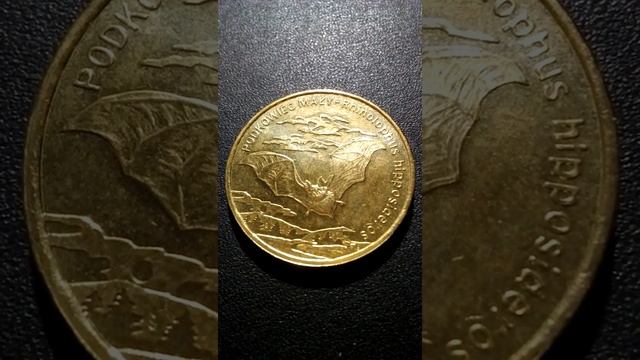 2 злотых летучая мышь ( малый подковонос ) смотреть онлайн