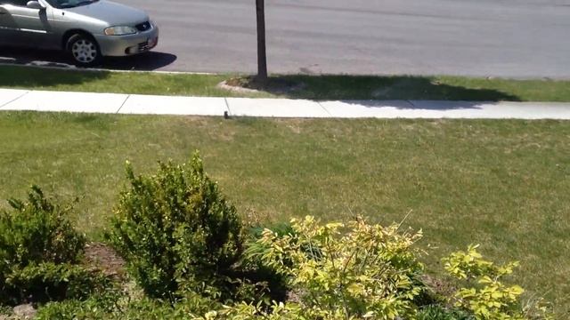 Node.js Sprinkler Controller смотреть онлайн