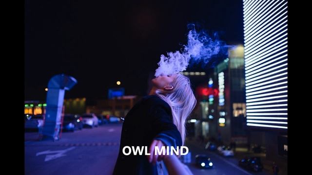 PRZNT - Fly ( OWL MIND FAST VERSION ) смотреть онлайн