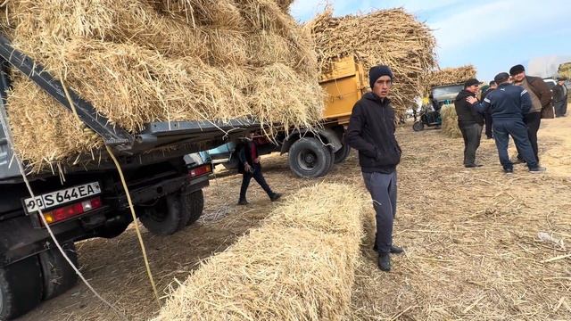 ХОРАЗМ ЕМ ХАШАК ДЕХҚОН БОЗОРИ ЯНГИ САБЗИ ЧИҚДИ АРЗОН 29-октябрь 2023 г. смотреть онлайн