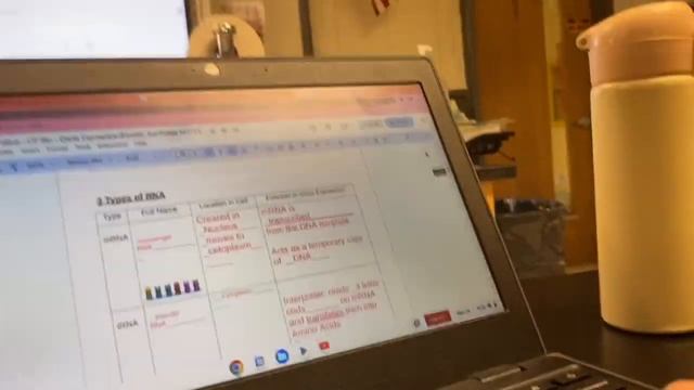 проекты в Американской школе/день подростка в Америке//vlog#9 смотреть онлайн