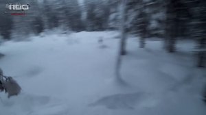 ОХОТА НА ВОЛКА 2023!!! ВОЛК ВЫШЕЛ НА МОЙ НОМЕР #охотанаволка #hunt