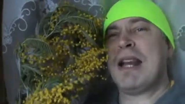 Привет! Сегодня 8 марта 2016 год Поздравления с восьмым мартом Ветка мимоза смотреть онлайн