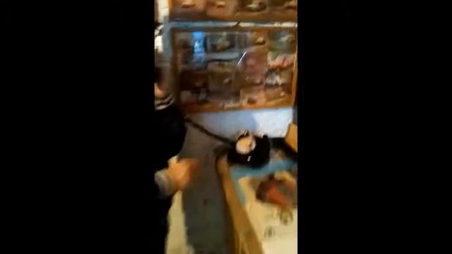 Венгрия. Сентендре. Музей Ретро дизайна. смотреть онлайн