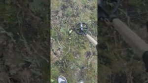 XP ORX с катушкой x35 ТЕСТ на МЕДЬ