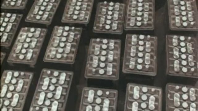 Фитиль №257 (1983)