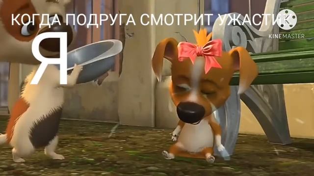 МУД БЕЛКА И СТРЕЛКА(ЧАСТЬ 1) смотреть онлайн
