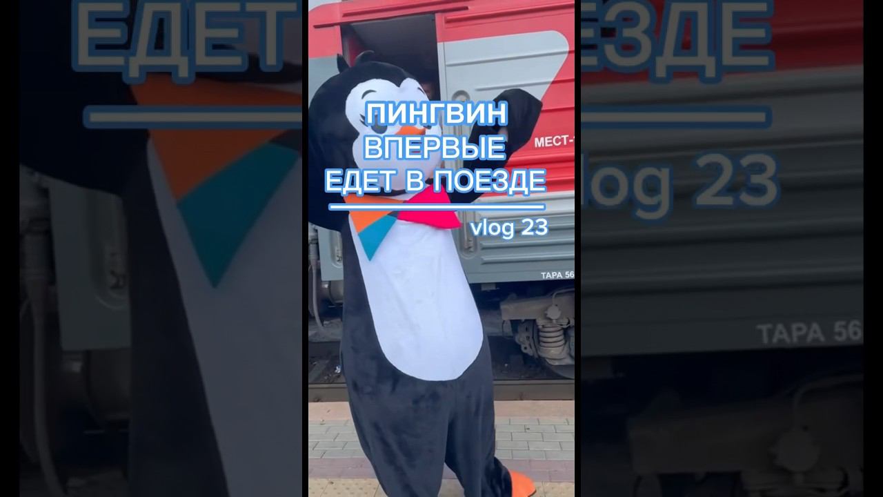 Пингвин впервые едет в поезде. vlog 23. #shortvideo #shot #shots #sport #аделипенза смотреть онлайн