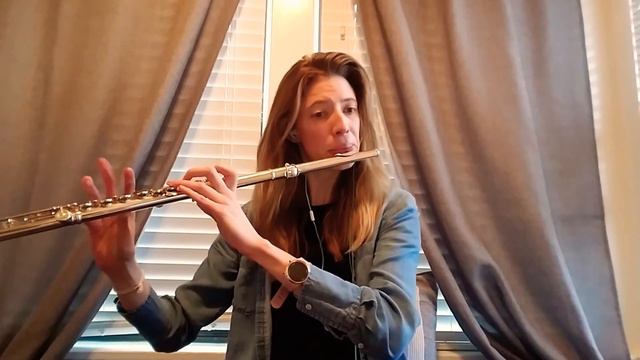 Köhler Sonatina for Two Flutes - III. Tempo di Marcia смотреть онлайн