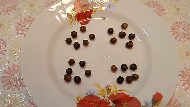 Консервируем помидоры в снегу. Проще простого, без уксуса. //Зубкова Надежда смотреть онлайн