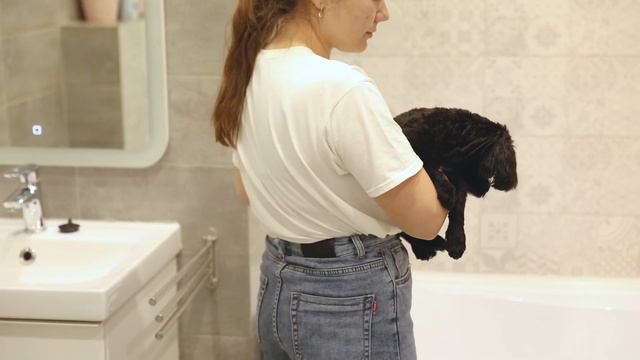 Как купать щенка в первый раз смотреть онлайн