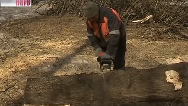 В Нижнем Новгороде продолжается месячник по благоустройству смотреть онлайн